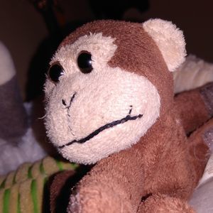 Meet your Posher, Loretta